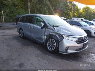 HONDA HONDA ODYSSEY EX-L