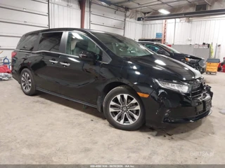 HONDA HONDA ODYSSEY EX-L