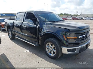 FORD FORD F-150 XLT