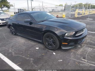 FORD FORD MUSTANG V6