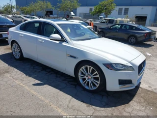 JAGUAR JAGUAR XF 20D PRESTIGE