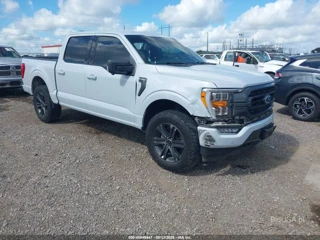FORD FORD F-150 XLT
