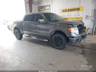 FORD FORD F-150 FX4/KING RANCH/LARIAT/PLATINUM/XL/XLT