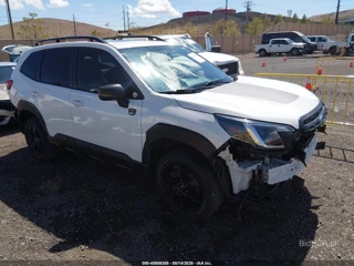 SUBARU SUBARU FORESTER WILDERNESS