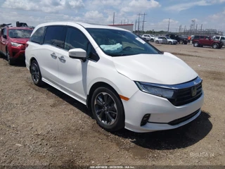 HONDA HONDA ODYSSEY ELITE