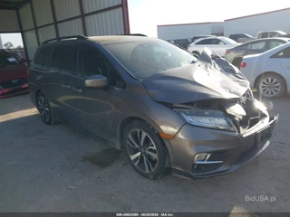HONDA HONDA ODYSSEY ELITE
