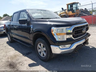FORD FORD F-150 XLT