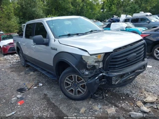 FORD FORD F-150 XLT