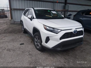 TOYOTA TOYOTA RAV4 HYBRID XLE