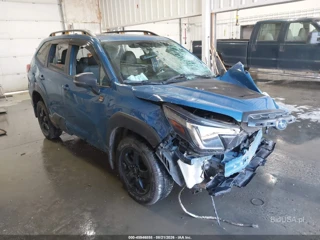 SUBARU SUBARU FORESTER WILDERNESS