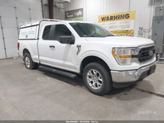 FORD FORD F-150 XLT
