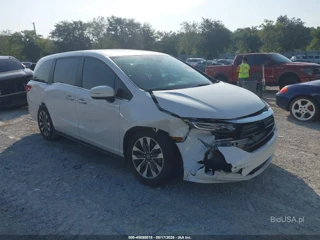 HONDA HONDA ODYSSEY EX-L