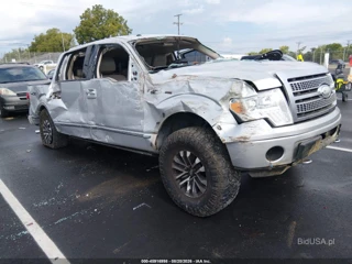 FORD FORD F-150 PLATINUM