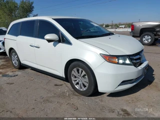 HONDA HONDA ODYSSEY SE
