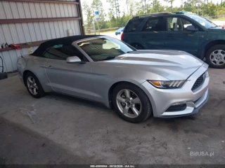 FORD FORD MUSTANG V6