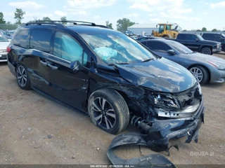 HONDA HONDA ODYSSEY ELITE