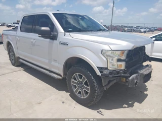 FORD FORD F-150 XLT