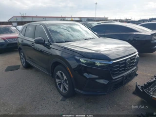 HONDA HONDA CR-V LX AWD