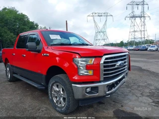FORD FORD F-150 XLT
