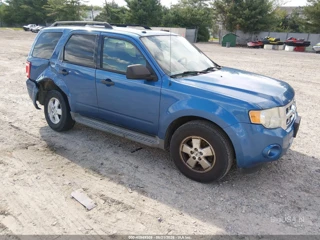 FORD FORD ESCAPE XLT