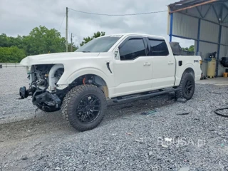 FORD F150 PLATINUM