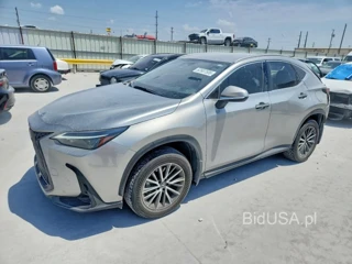 LEXUS NX 250