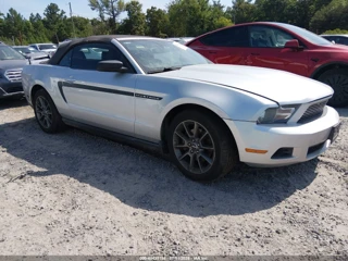 FORD FORD MUSTANG V6/V6 PREMIUM