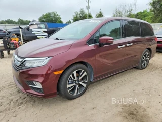 HONDA ODYSSEY ELITE