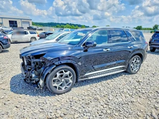 HYUNDAI PALISADE CALLIGRAPHY