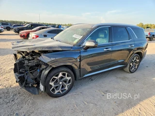 HYUNDAI PALISADE CALLIGRAPHY