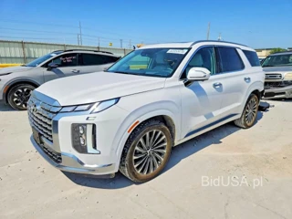 HYUNDAI PALISADE CALLIGRAPHY