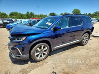 HONDA PILOT ELITE