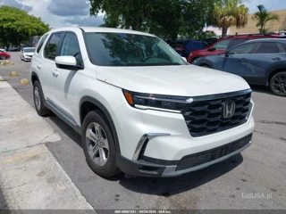 HONDA HONDA PILOT EX-L