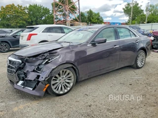 CADILLAC CTS PERFORMANCE COLLECTION
