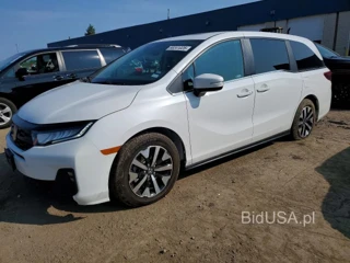 HONDA ODYSSEY EXL