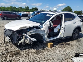 LEXUS NX 350 BASE