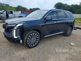 HYUNDAI PALISADE CALLIGRAPHY