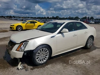 CADILLAC CTS PERFORMANCE COLLECTION
