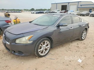 NISSAN MAXIMA 3.5 S