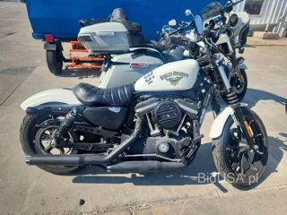HARLEY-DAVIDSON XL883 IRON 883