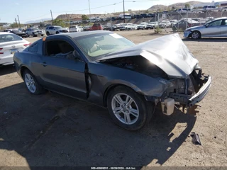 FORD FORD MUSTANG