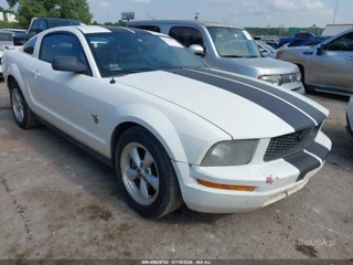 FORD FORD MUSTANG V6/V6 PREMIUM