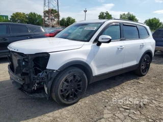 KIA TELLURIDE EX