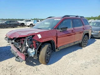 SUBARU OUTBACK LIMITED