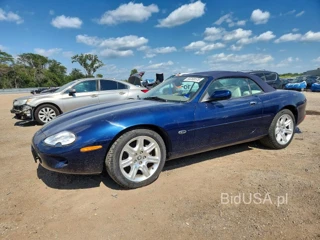 JAGUAR XK8