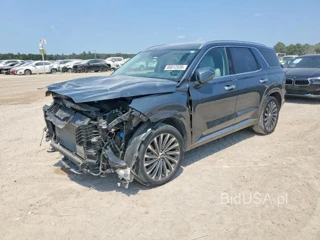 HYUNDAI PALISADE CALLIGRAPHY