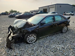 TOYOTA CAMRY HYBRID XLE
