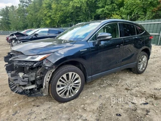 TOYOTA VENZA XLE