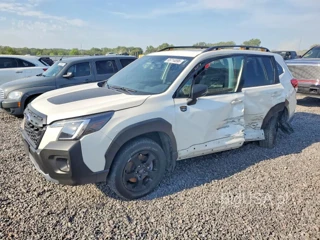 SUBARU FORESTER WILDERNESS