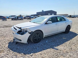 CHEVROLET MALIBU 1LT
